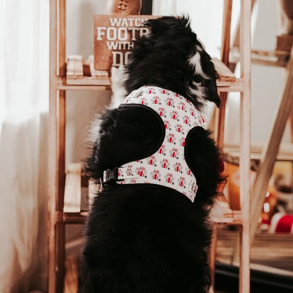 Ohio State Buckeye's Helmet Paw Print Pet Harness - Picture 9 of 10